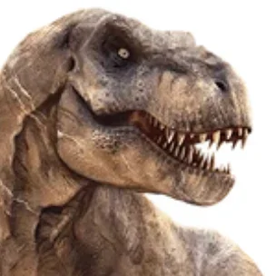 Rexy -HC-
